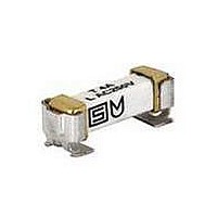 Fuses UMZ 250 FUSE WITH HOLDER 2A T