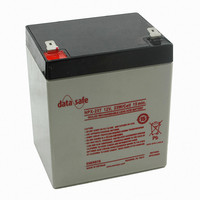 DATASAFE NPX LEAD ACID BATT 12V