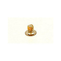 Connector Accessories Cap Screw Stainless Steel