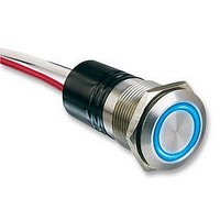 Illuminated Stainless Steel Vandal Resistant Switch